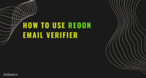 How to Use Reoon Email Verifier